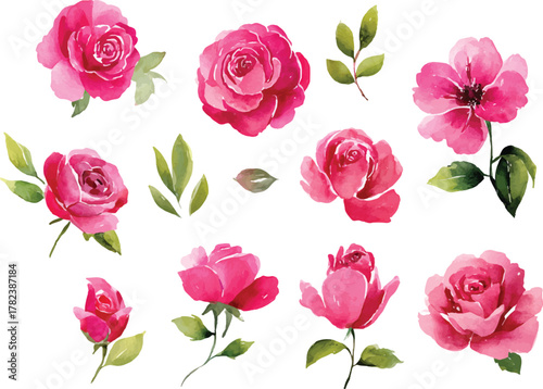 watercolor set of hot pink roses flowers clipart