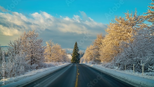 Snow-covered trees lining a...