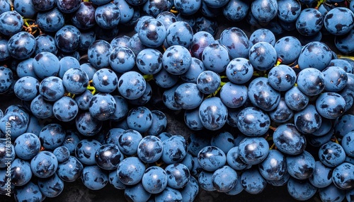 Top view of fresh dark blue grape clusters, natural fruit texture background