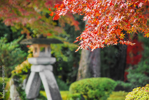 紅葉の枝葉が彩る金沢兼六園の石灯籠と秋の情景 / Autumn Scenery with a Stone Lantern and Maple Leaves in Kenrokuen