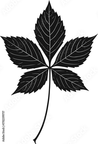 Virginia creeper leaves with detailed vein structures and distinct shapes clean silhouette vector illustration