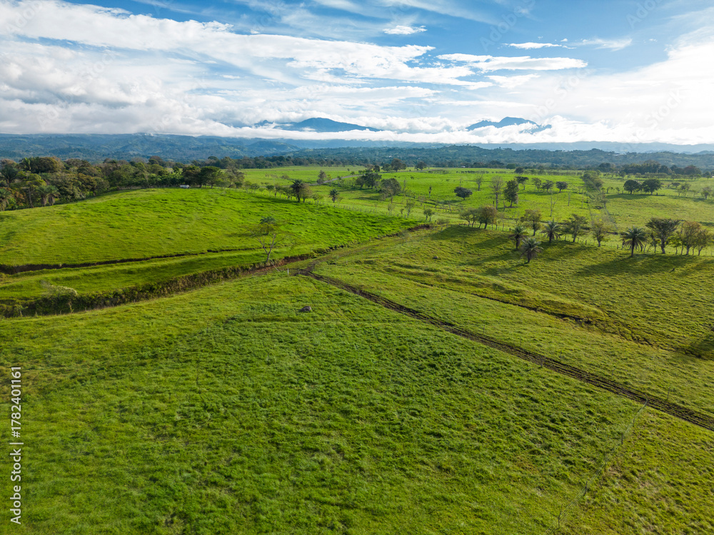 Fototapeta premium Aerial view of a beef cattle farm on sustainable mountain farm in Panama, Central America - stock photo