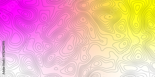 Topography map background. Vector geographic contour map. White background topography contour map with black curve lines.  