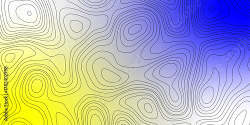 Topography map background. Vector geographic contour map. White background topography contour map with black curve lines.  