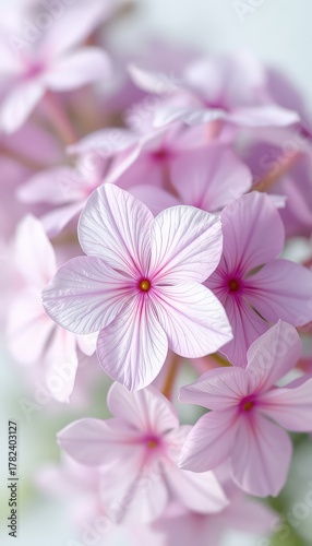 Delicate beauty in a cluster of gentle pink blooms A serene close-up showcases the refined details of springtime flowers