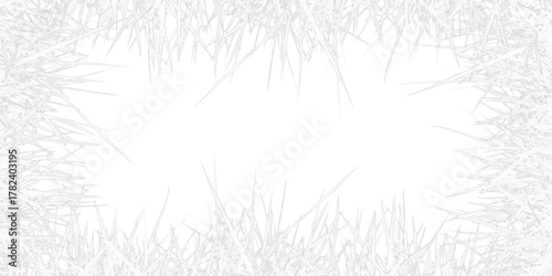 branches of a tree. White gray wallpaper texture background