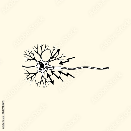 Organ Systems in the Human Body: Types, Parts, and Functions