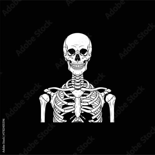 Organ Systems in the Human Body: Types, Parts, and Functions