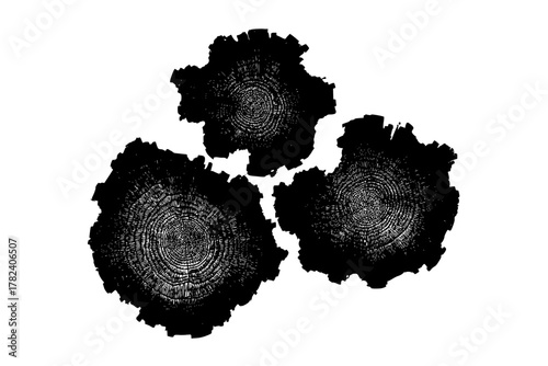 Ethereal Tapestry: Intricate Patterns Nature's Artistry | Clean, isolated vector art for creative projects.