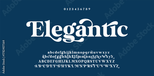 Elegant Font Uppercase Lowercase and Number. Classic Lettering Minimal Fashion Designs. Typography modern serif fonts regular decorative vintage concept. vector illustration.