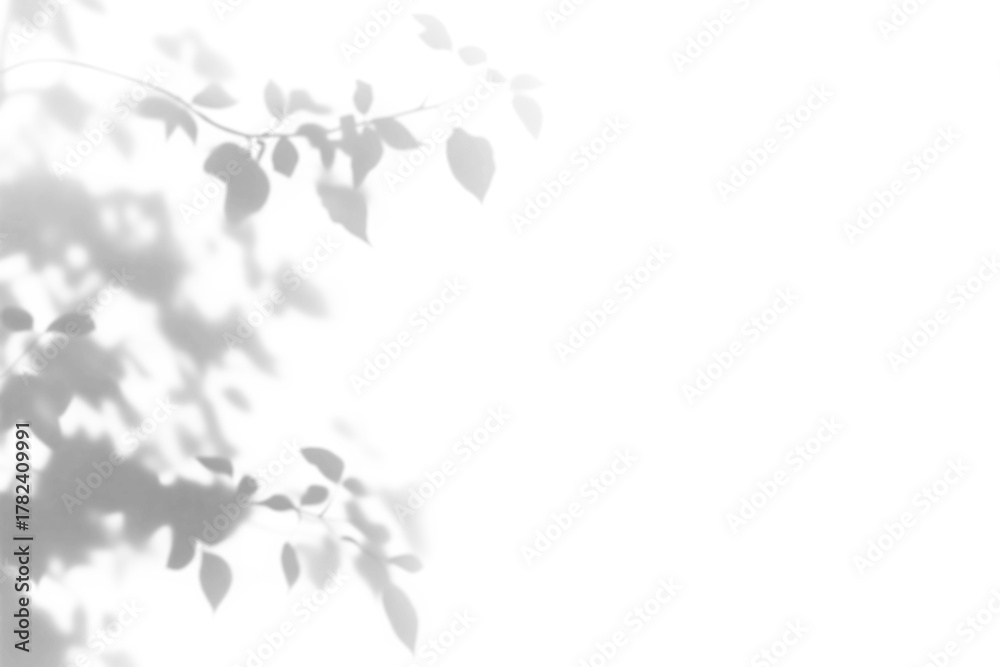 Fototapeta premium shadow overlay effect of natural tree leaves shadow over on white wall background,realistic summer sunlight abstract shadow overlay,abstract tree leaves shadow