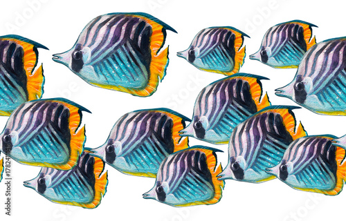 Seamless pattern. A school of multicolored wedge-striped butterflyfish. Watercolor painting depicting fish on a white background.