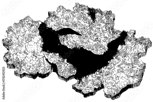 Whimsical Whispers Nature: Ponderosa Pine Bark Mosaic | Clean, isolated vector art for creative projects.