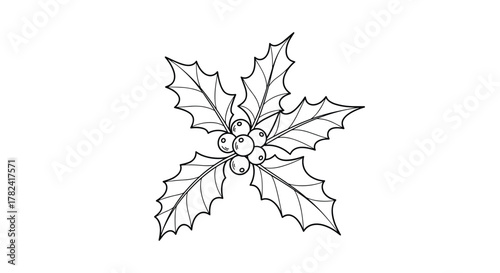 Classic black and white outline drawing of a traditional holly sprig, adorned with distinctively spiky leaves and round berries, ideal for festive designs.