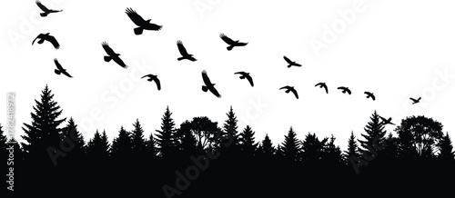 Forest silhouette, flying birds, coniferous trees, nature illustration, wildlife migration, black background, peaceful scene, outdoor view, natural beauty, ecosystem motion