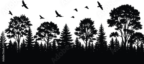 Forest silhouette, flying birds, nature illustration, wildlife scene, tree variety, black background, peaceful landscape, outdoor view, natural beauty, ecosystem art