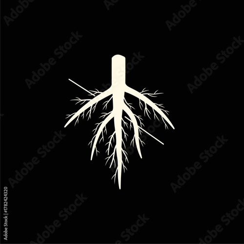 Organ Systems in the Human Body: Types, Parts, and Functions