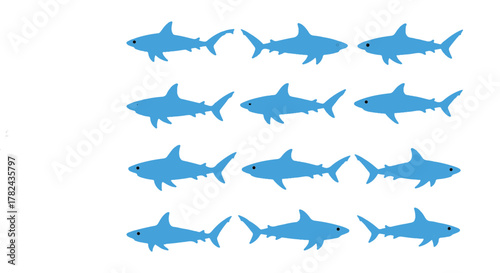 Seamless vector pattern illustration of a blue flying bird and a shark fish in nature's sky and sea