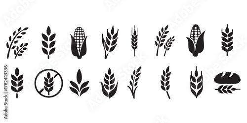wheat icon, Grey Cereals icon set with rice, wheat, corn, oats, Vector farm wheat ears icon, Gluten free icon, Wheat logo. Icon bakery. Spike wheat. Bread grain