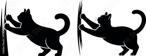 Black and White Cartoon Cat Mascot Taking Selfie with Phone - Standing Vector Set