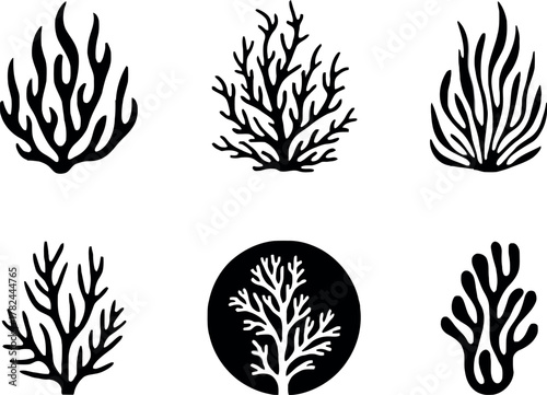 Collection of stylized black and white coral illustrations perfect for marine biology or ocean themed designs
