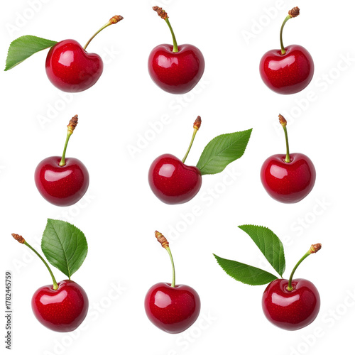 Ripe red cherry fruit with green leaves and stems isolated on transparency background, fresh and glossy natural sweet cherries