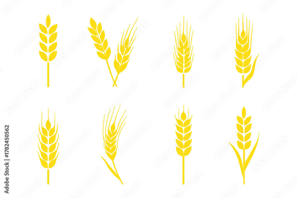 Obraz premium set of wheat ears, Wheat Ears Silhouette Set, A collection of eight black vector icons depicting various styles of wheat and rye ears with stalks, wheat icon, Grey Cereals icon set with rice, wheat.
