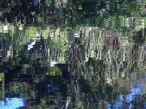 Tree reflection in abstract