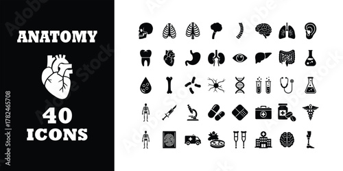 Explore 40 detailed anatomy icons representing human organs, medical tools, and healthcare symbols for your next educational or design project
