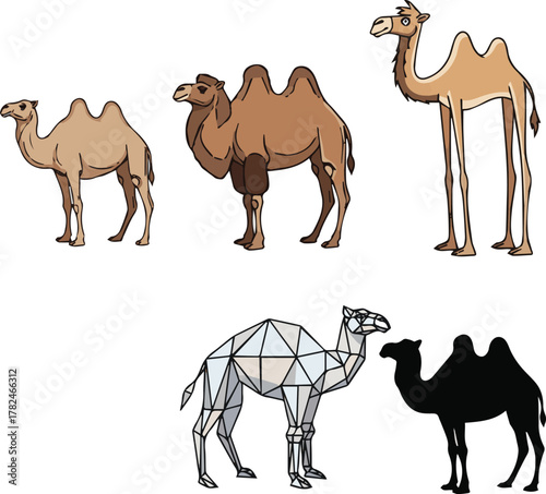 kinds of deferent camel vector art with white background