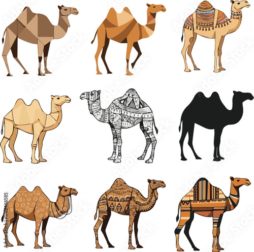  kinds of different camel vector art with white background