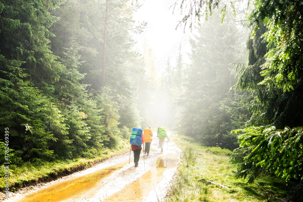 Obraz premium Female woman tourists with large backpacks walk along a foggy green forest trail against the backdrop of mountains, travelling and hiking in the mountain