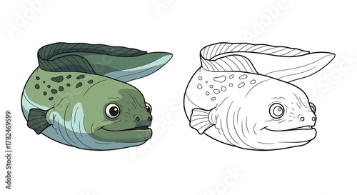 Cartoon illustration showcasing a freshwater eel in both colored and outline versions