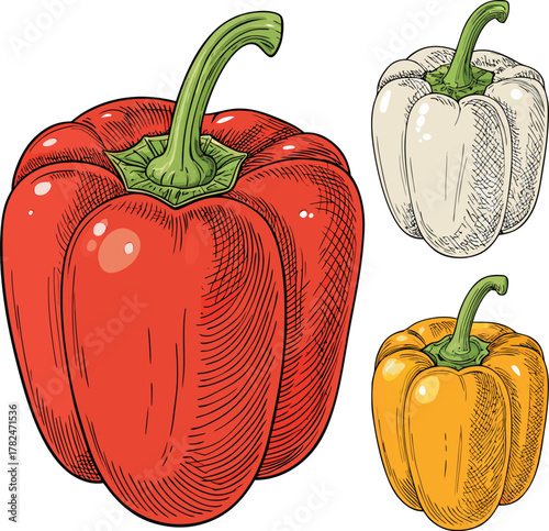 Sweet red bell peppers set isolated on white background. Bell peppers in Cartoon style. Vector illustration