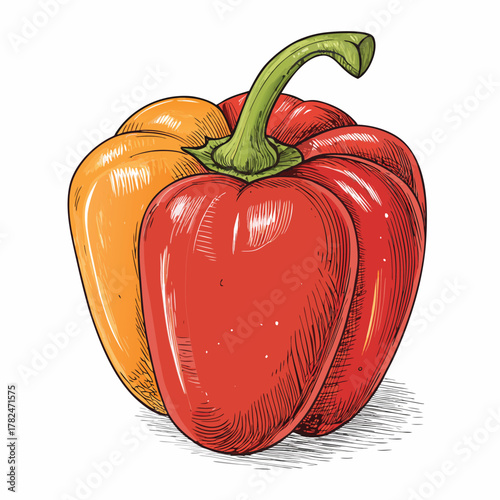 Sweet red bell peppers set isolated on white background. Bell peppers in Cartoon style. Vector illustration