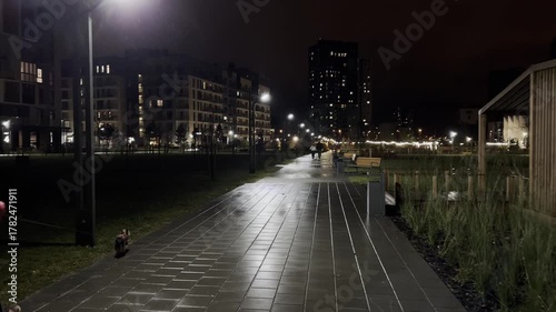 Person walking dog at night in city park along illuminated wet path, calm atmosphere, modern