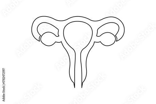 Minimalist uterus line drawing illustration on white background
