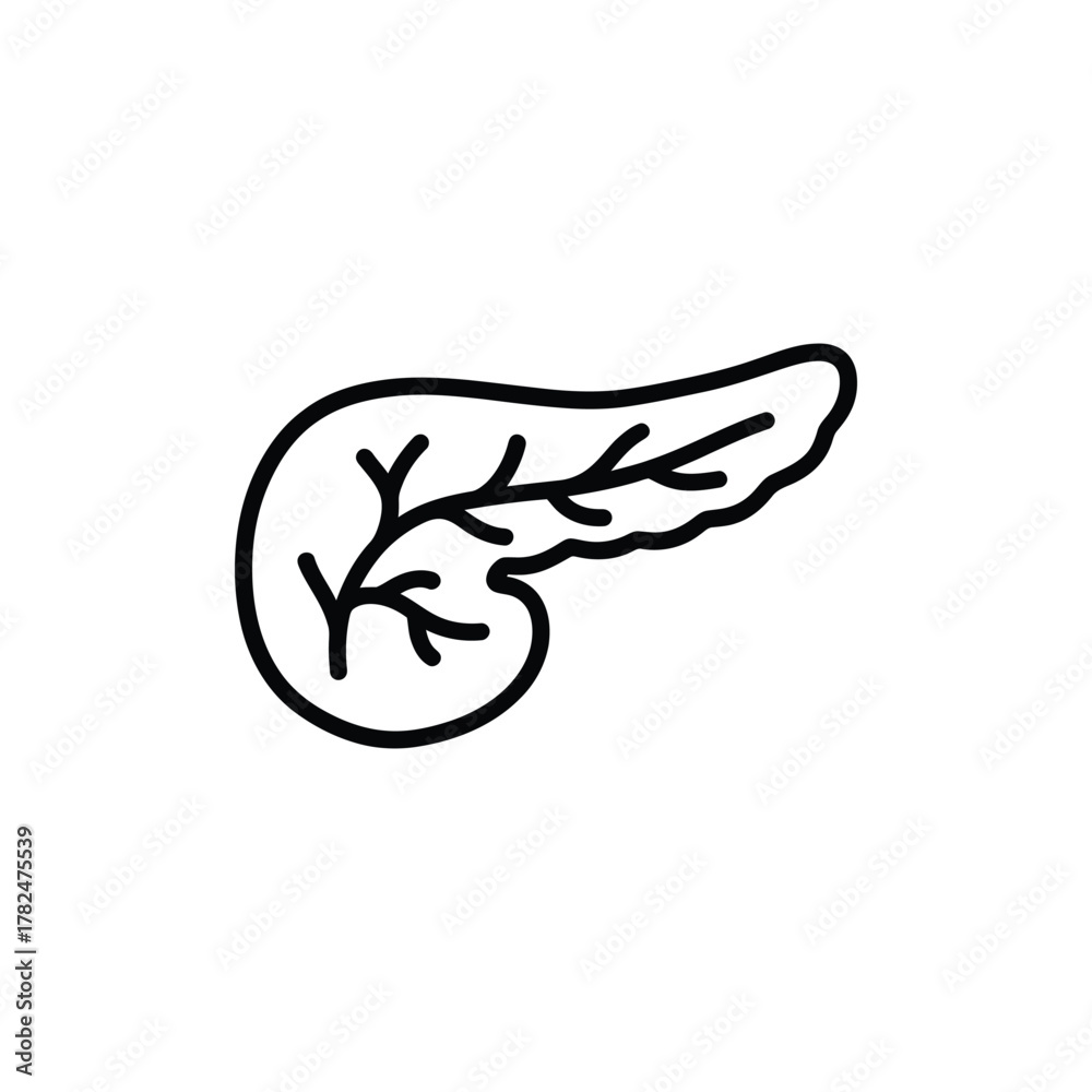 Obraz premium Simple outline drawing of the human pancreas organ