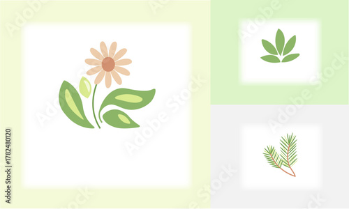 herbal remedies,tea,flower,bio,nature,eco