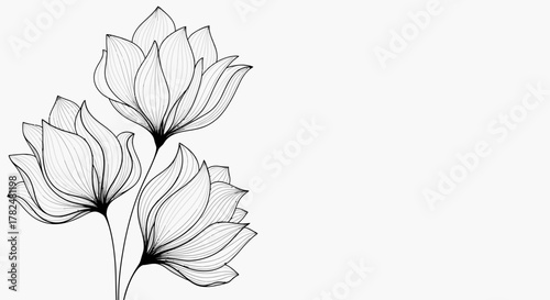 Three delicate flowers drawn in a fine line art style against a clean white background with copy space.