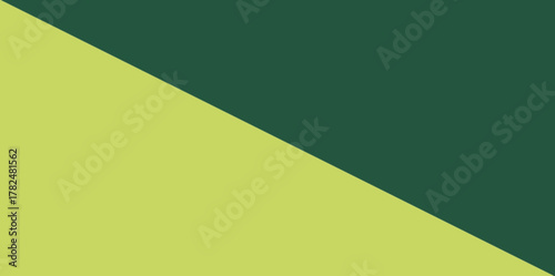 Dark Green and Lime Green Diagonal Abstract Vector Illustration Background. Simple, modern diagonal split background with two complementary shades of green.