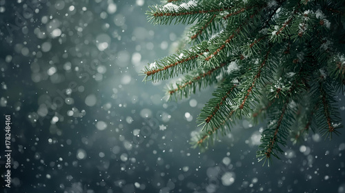 A close up of snow falling on pine tree branches in a wintery dark background