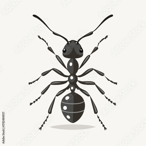 Black ant with detailed body and antennae