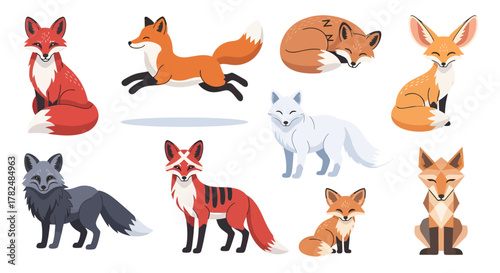 Collection of animated foxes showcasing diverse poses and varied fur coloration on white backdrop