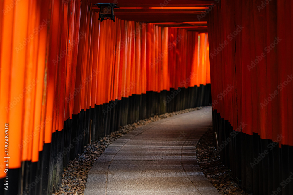 Fototapeta premium Torii gates in Fushimi Inari Shrine, Kyoto 