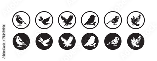 Bird Silhouette Icon Collection, Black & White Circular, bird icon symbol,  vector illustration EPS 10.