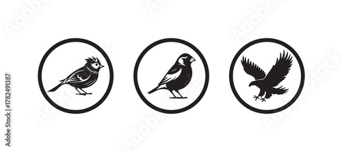 Bird Silhouette Icon Collection, Black & White Circular, bird icon symbol,  vector illustration EPS 10.