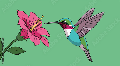 Cartoon depiction of a hummingbird approaching a flower