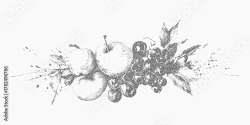 Drawing of fruits and berries. Abstract black shape with faded grain speckle buildup and gritty texture. Light dust and soft threshold give a retro ink appearance.