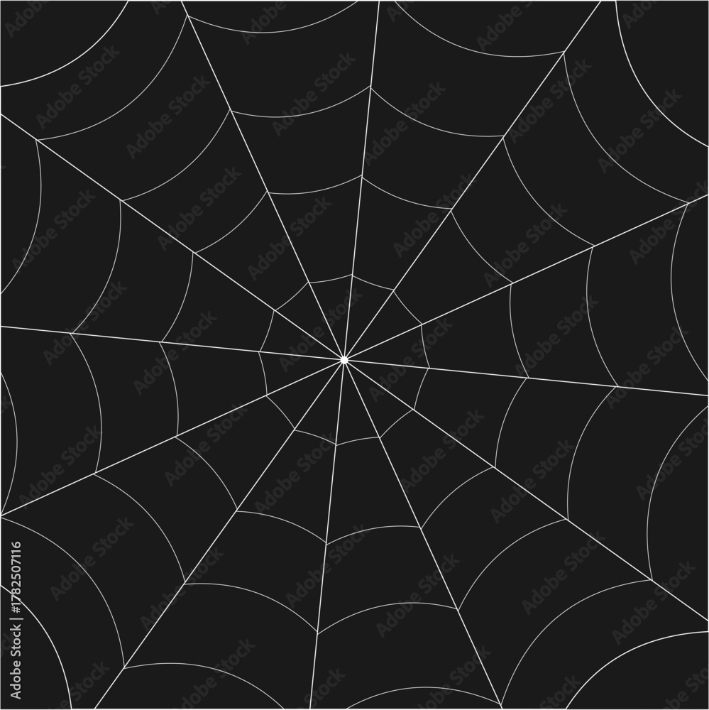 Obraz premium Whole Spider's web pattern background 